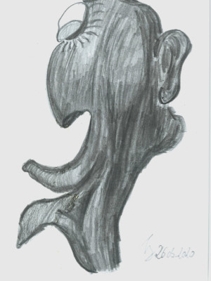 karikatur portrait